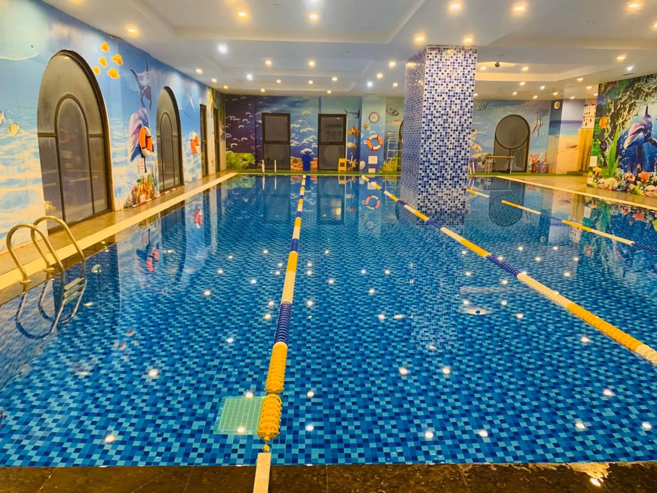 Học bơi không chỉ là kỹ năng sinh tồn quan trọng mà còn là bộ môn thể thao giúp cải thiện sức khỏe toàn diện. Trong những năm gần đây, nhu cầu tìm kiếm bể bơi chất lượng để học bơi tại Hà Nội ngày càng gia tăng, đặc biệt tại khu vực Đống Đa – nơi có mật độ dân cư cao, nhiều trường học và khu dân cư hiện đại. Trong số đó, bể bơi Tân Hoàng Minh 36 Hoàng Cầu nổi bật nhờ cơ sở vật chất hiện đại và các lớp học bơi chuyên nghiệp đến từ hocboicaptoc.vn.